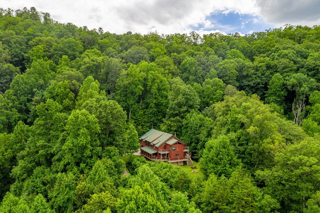 2548 Happy Hollow Road Sevierville, TN 37862 - Photo 3 of 60 Gallery Image 3
