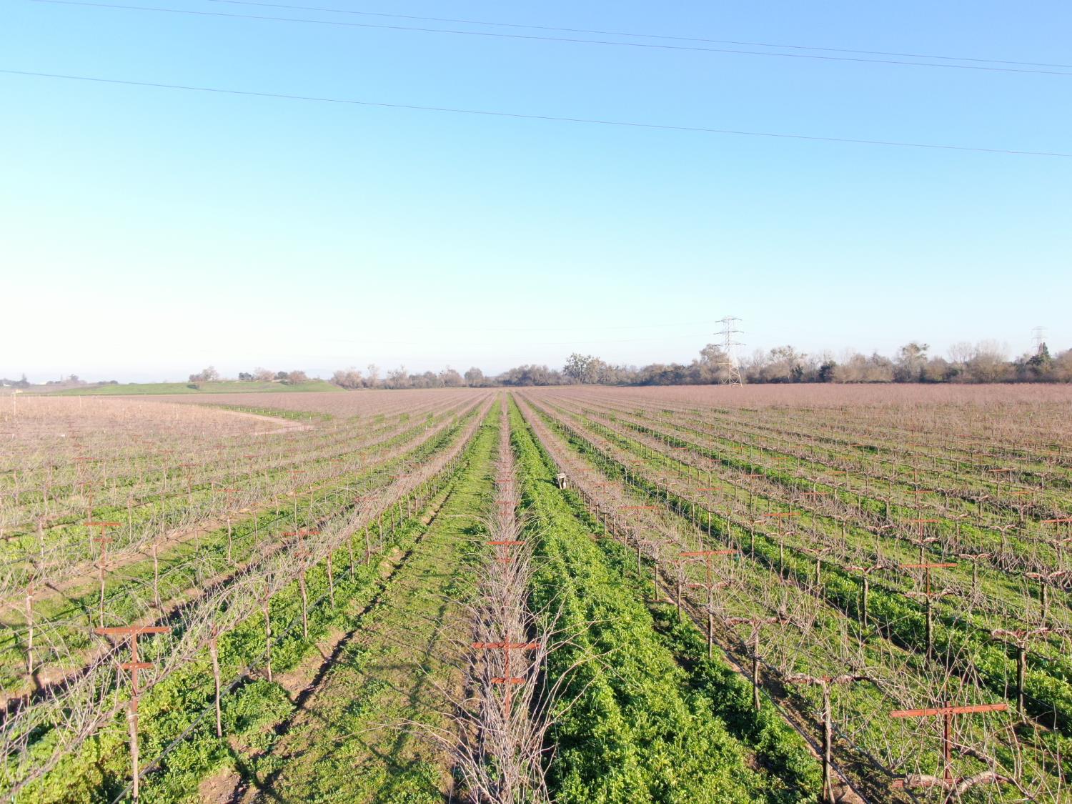 14248 East Peltier Road Acampo, CA 95220 - Photo 11 of 44 a view of an ocean and mountain