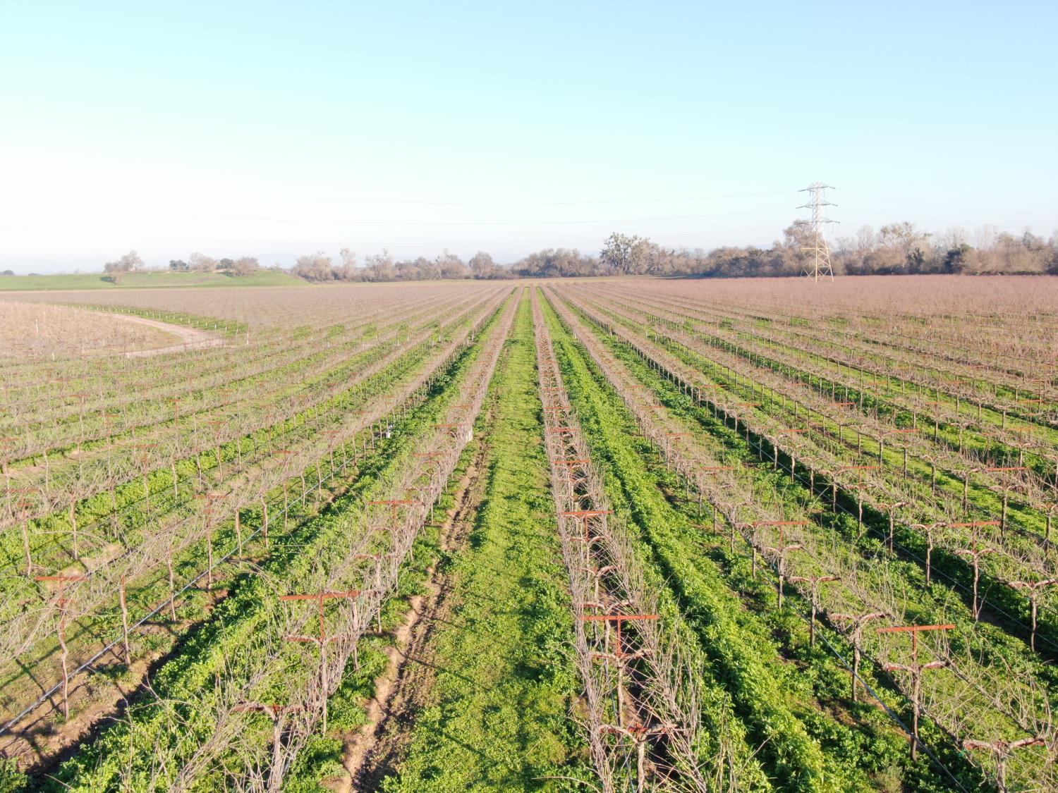 14248 East Peltier Road Acampo, CA 95220 - Photo 12 of 44 a view of an ocean