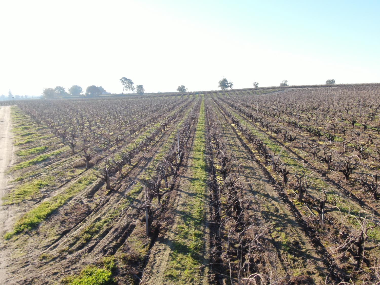 14248 East Peltier Road Acampo, CA 95220 - Photo 13 of 44 a view of a large building