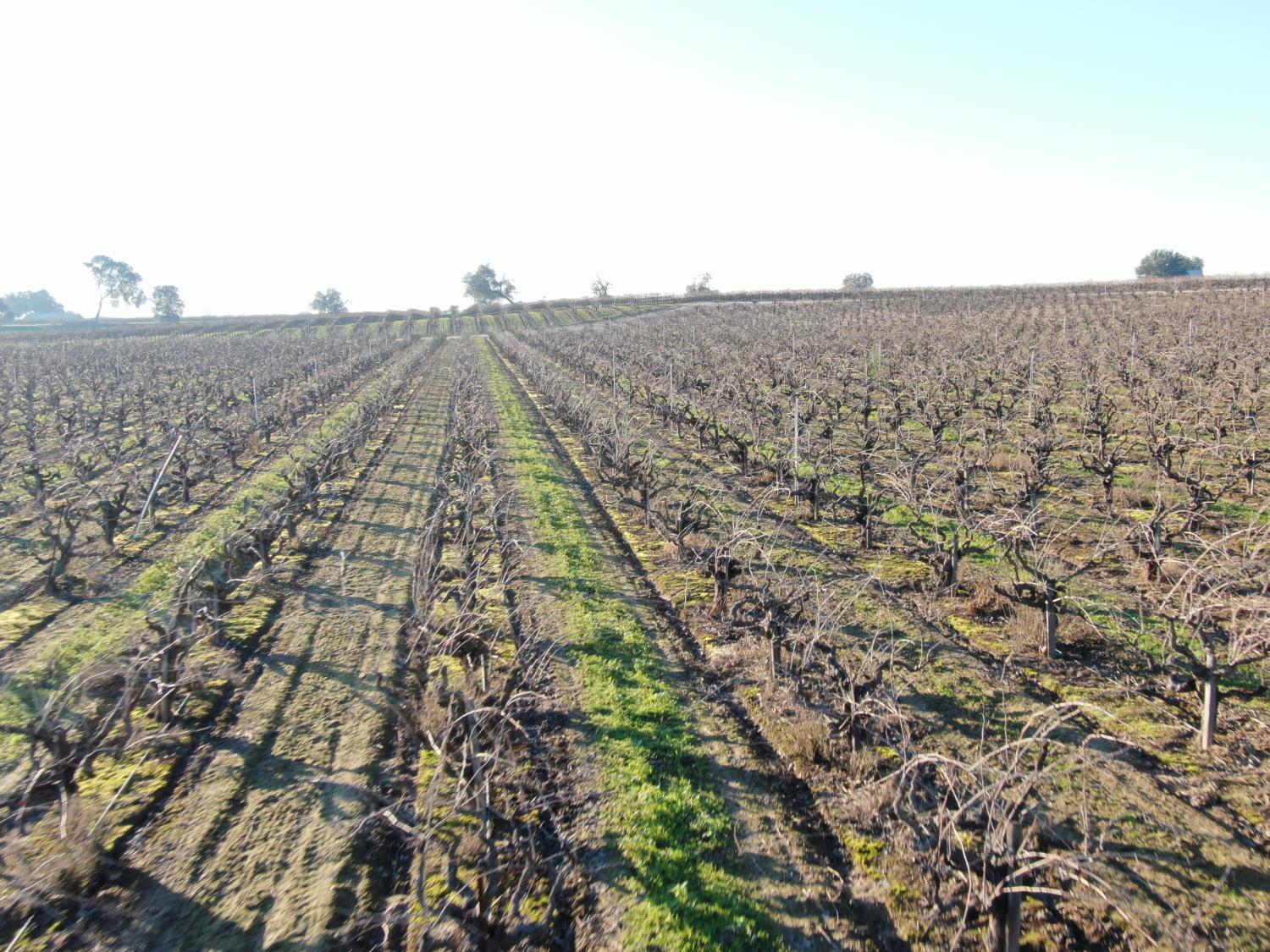 14248 East Peltier Road Acampo, CA 95220 - Photo 14 of 44