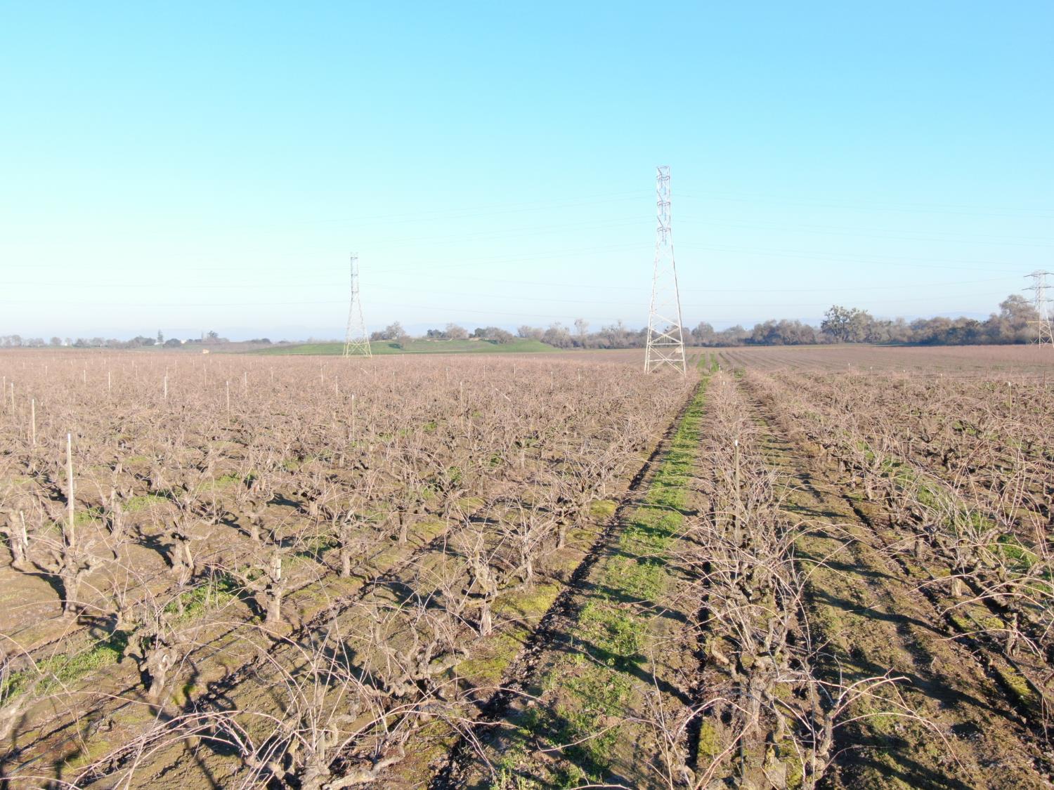 14248 East Peltier Road Acampo, CA 95220 - Photo 15 of 44 a view of an ocean