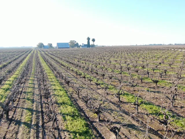 a view of a mountain