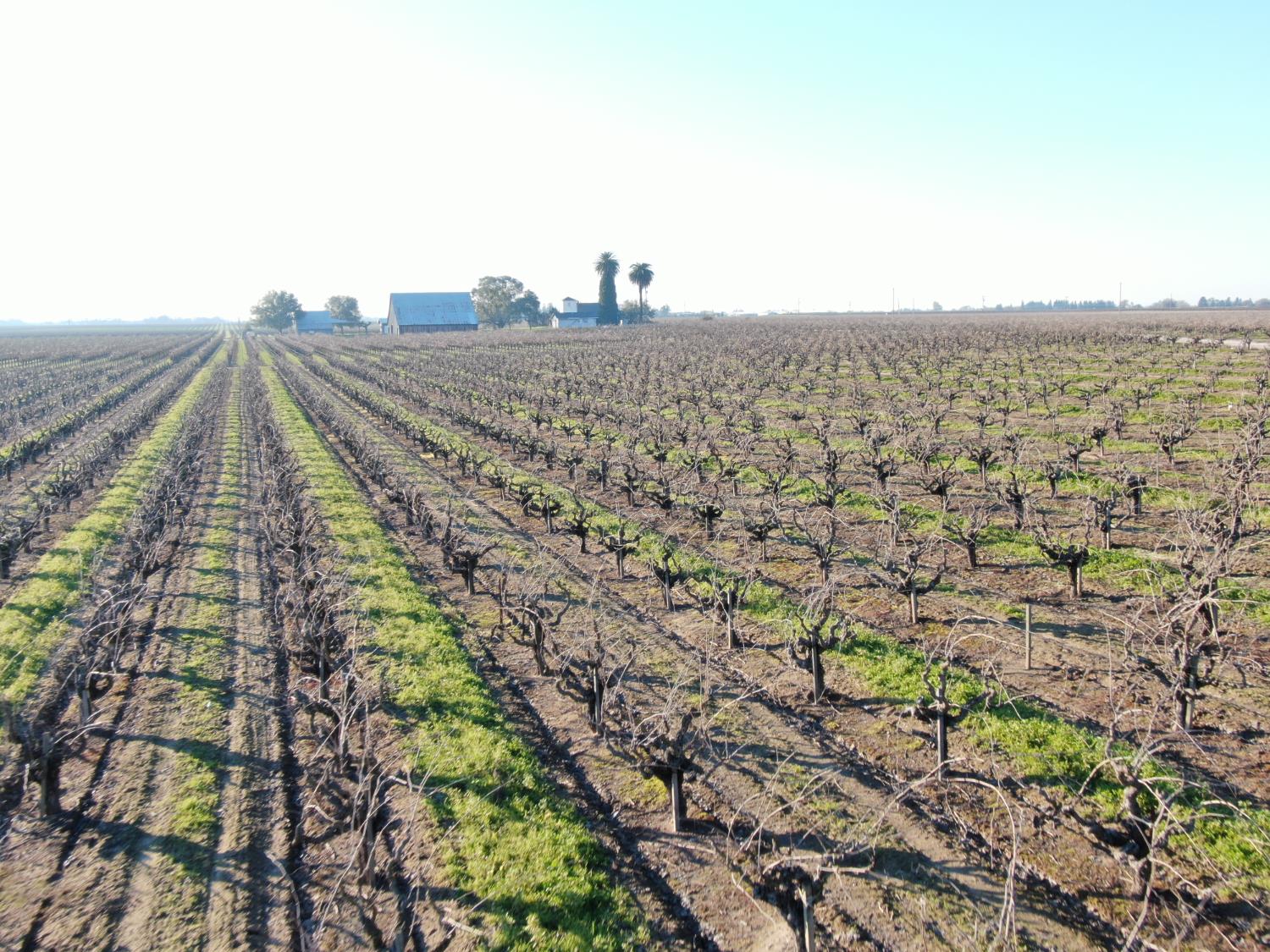 14248 East Peltier Road Acampo, CA 95220 - Photo 17 of 44 a view of a city