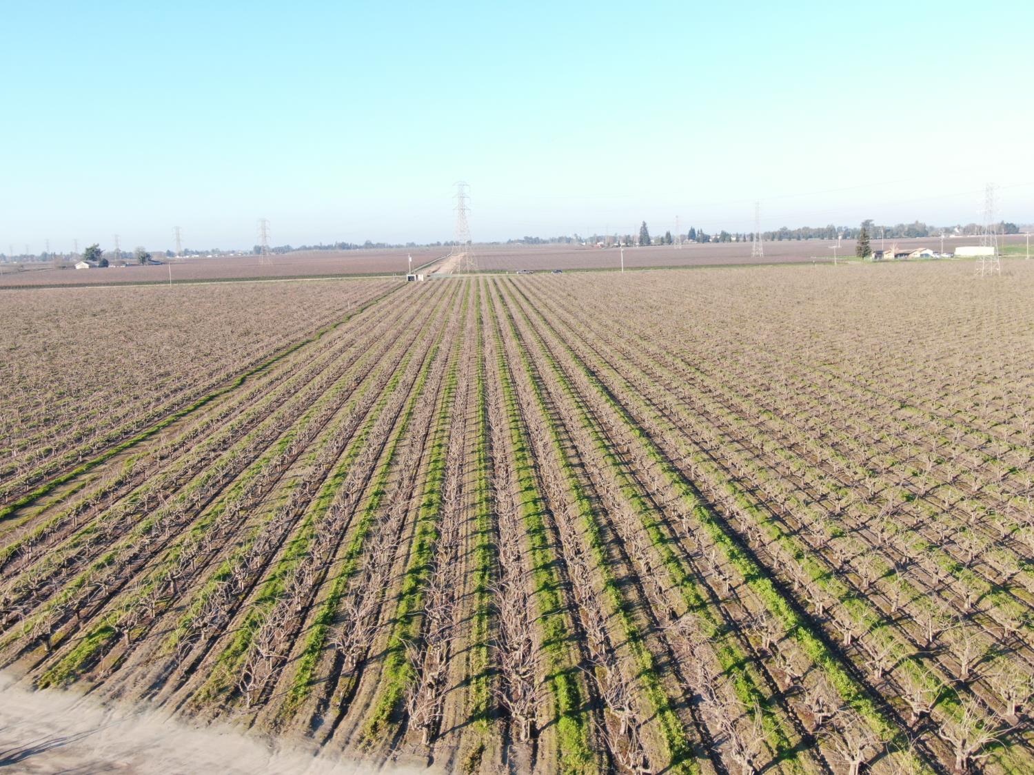 14248 East Peltier Road Acampo, CA 95220 - Photo 18 of 44