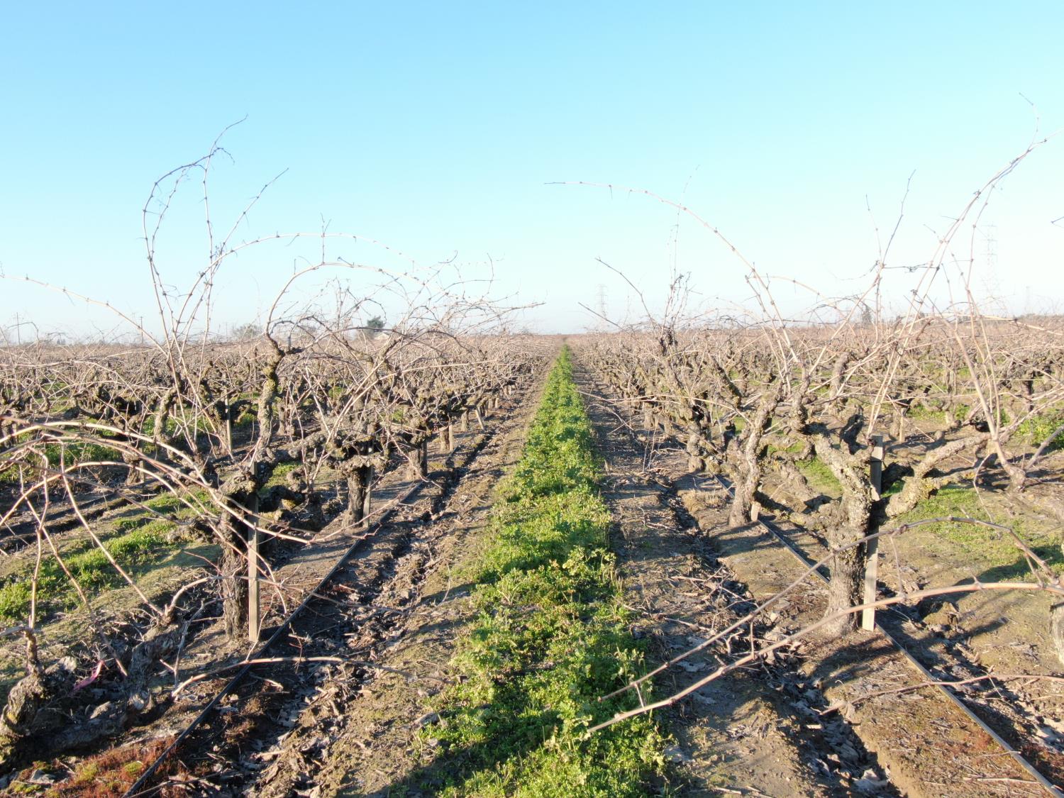14248 East Peltier Road Acampo, CA 95220 - Photo 22 of 44 a view of a mountain