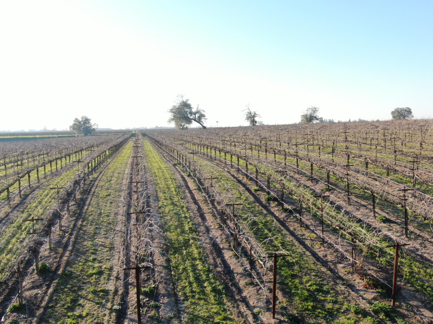 14248 East Peltier Road Acampo, CA 95220 - Photo 24 of 44 a view of a city