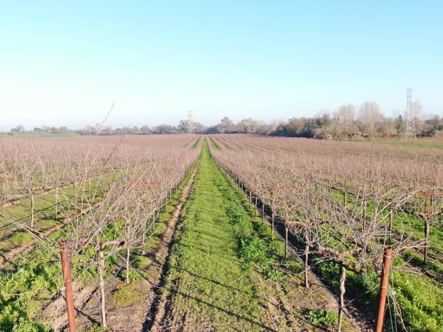 a view of a terrace with a lake