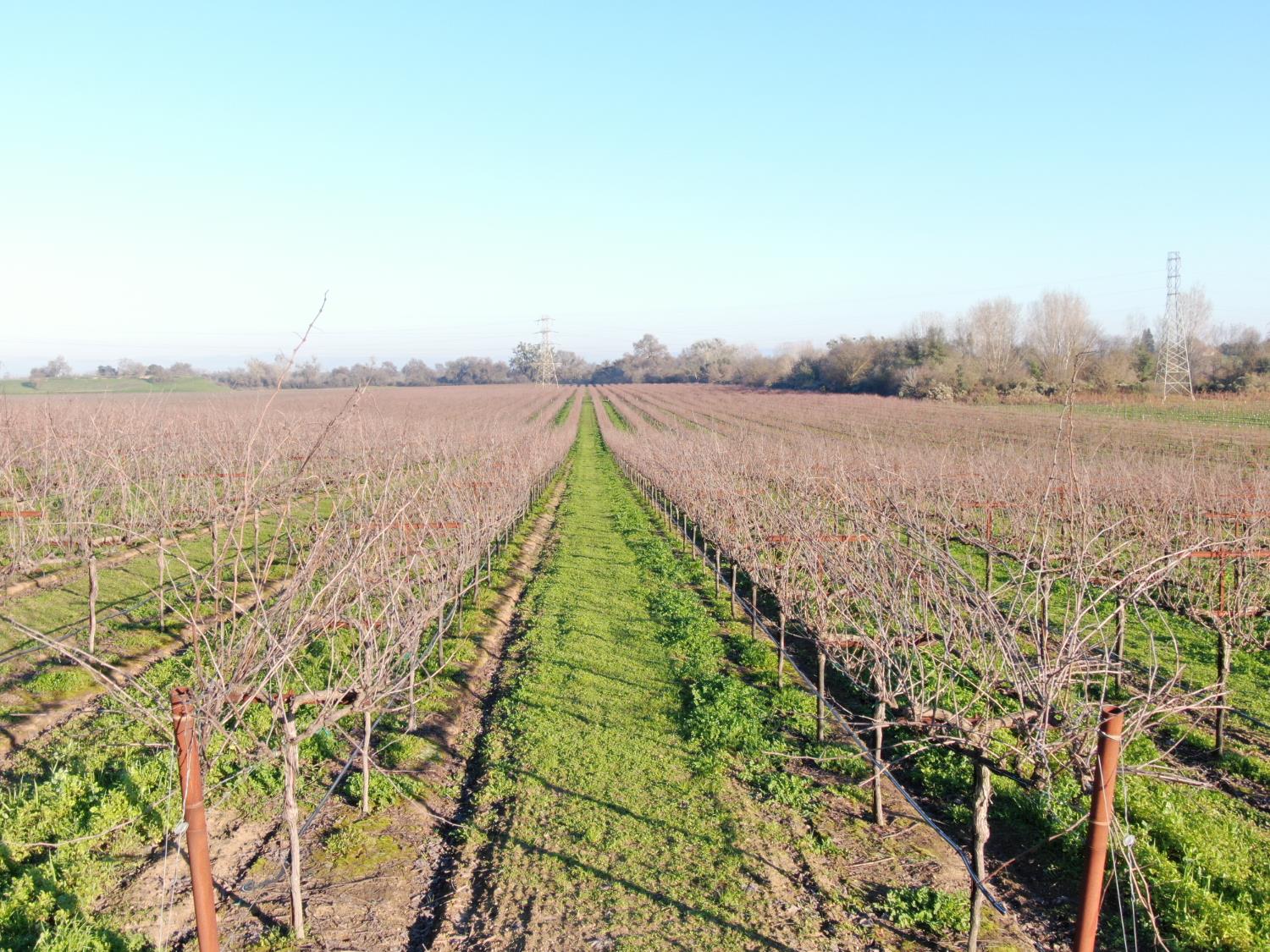 14248 East Peltier Road Acampo, CA 95220 - Photo 25 of 44 a view of lake and mountain