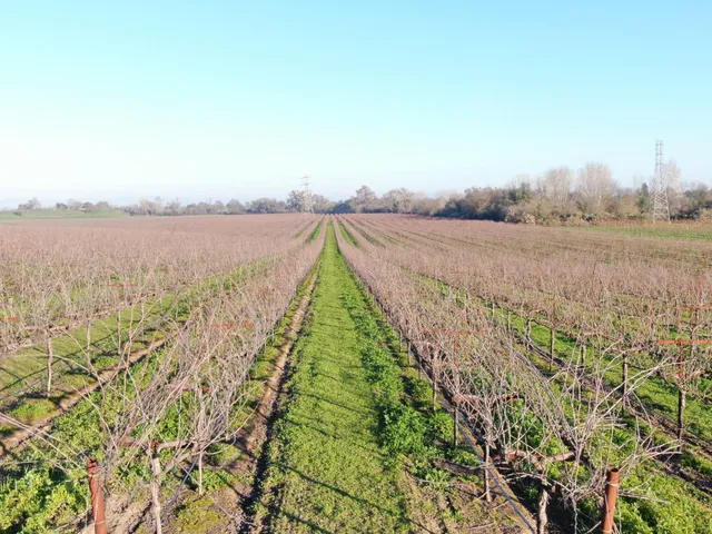 a view of a terrace with a lake