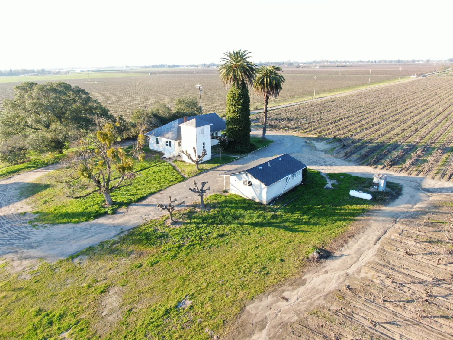 14248 East Peltier Road Acampo, CA 95220 - Photo 38 of 44 a view of a yard with an ocean beach