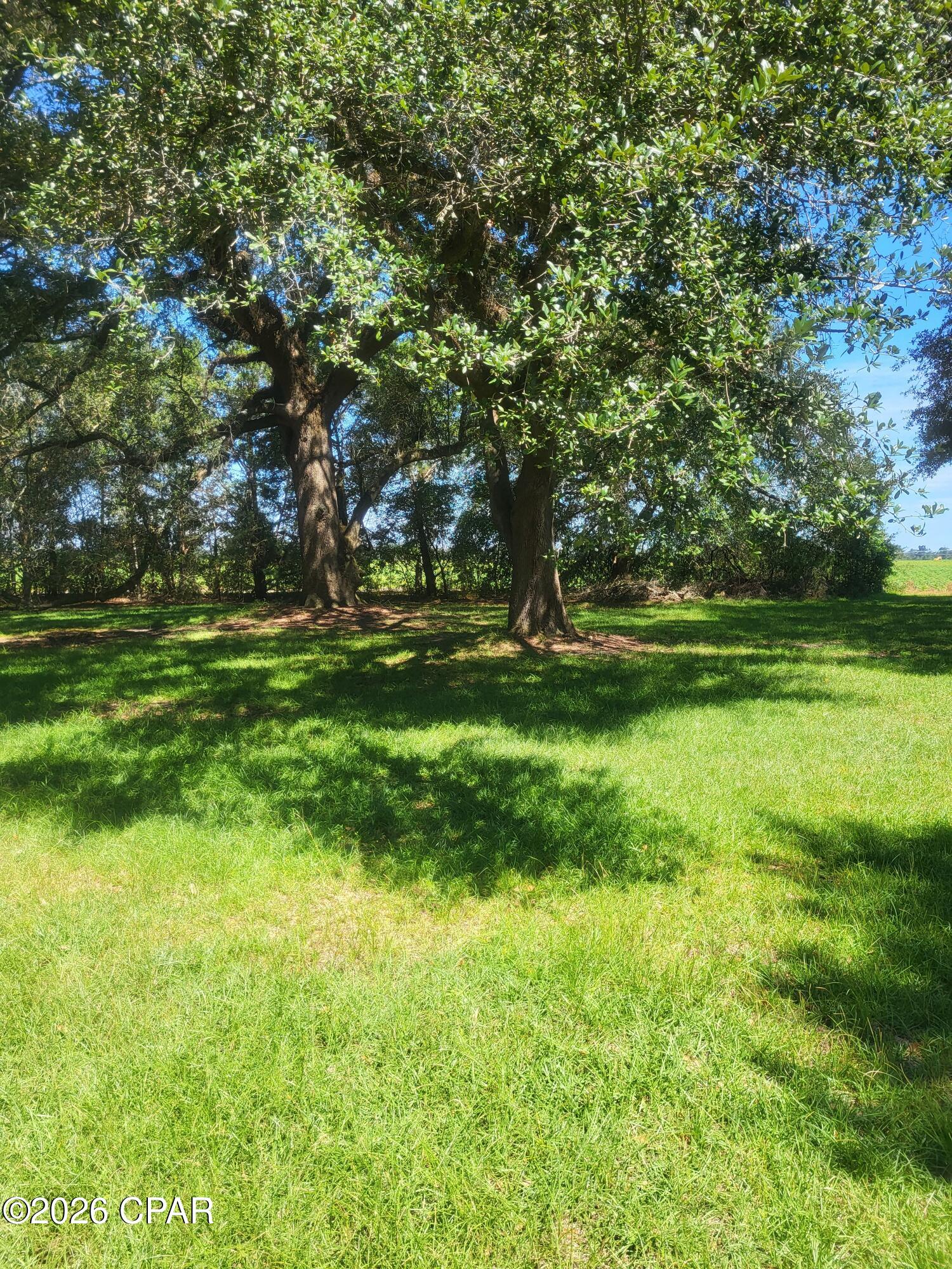 0 Ditty Road Bascom, FL 32423 - Photo 16 of 34