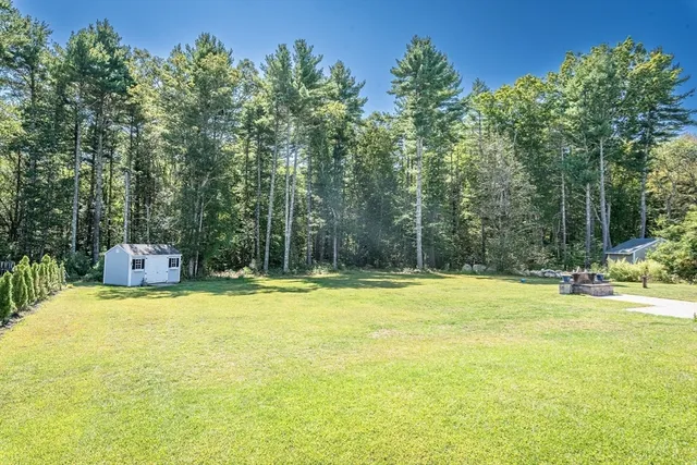a view of swimming pool with garden and trees