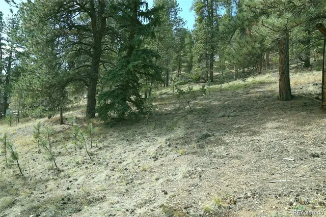 a view of outdoor space with trees