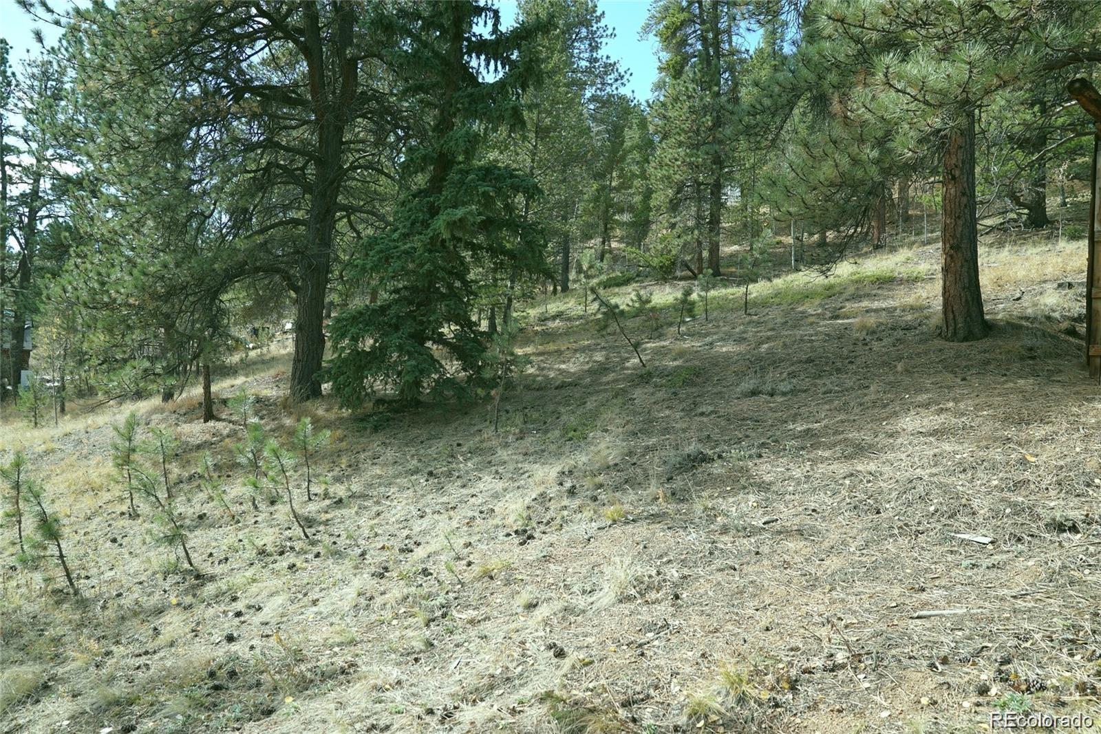 a view of outdoor space with trees