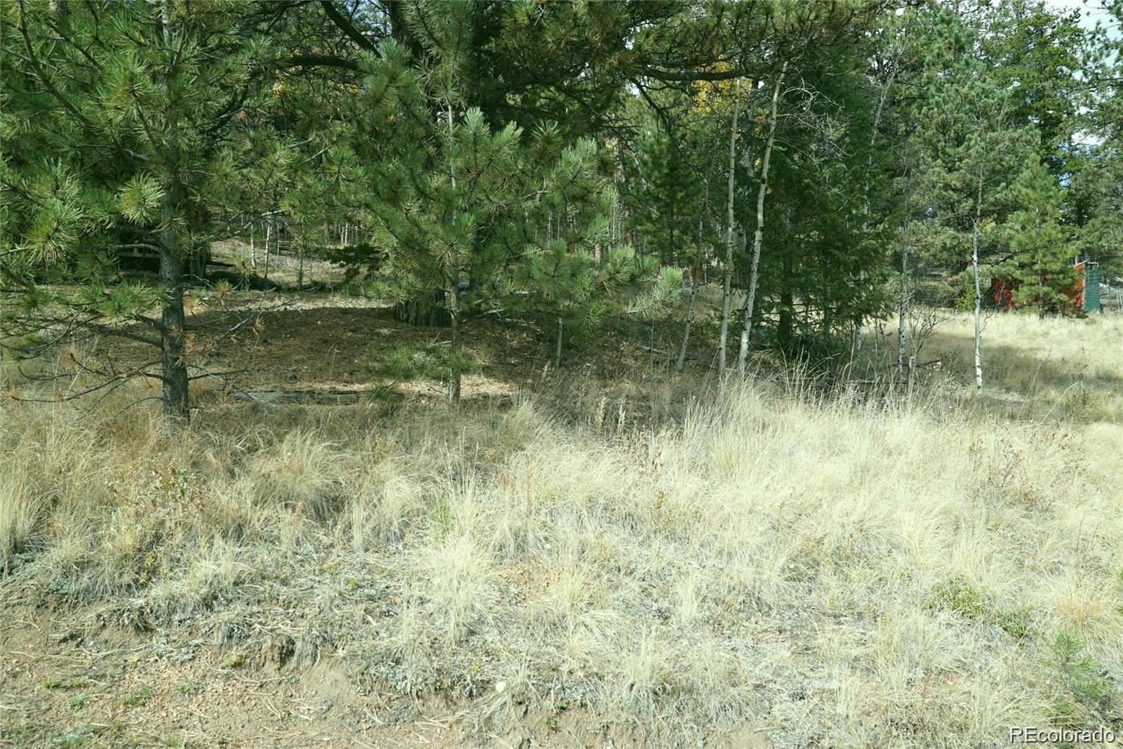 188 Brown Road Bailey, CO 80421 - Photo 3 of 4 a view of a lake view