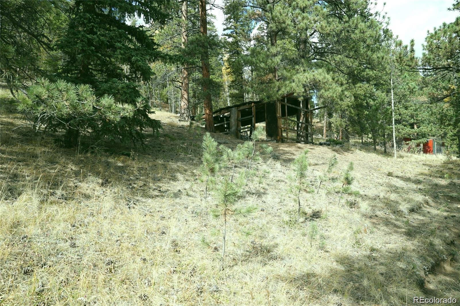 188 Brown Road Bailey, CO 80421 - Photo 4 of 4 a backyard of a house with lots of green space and fountain