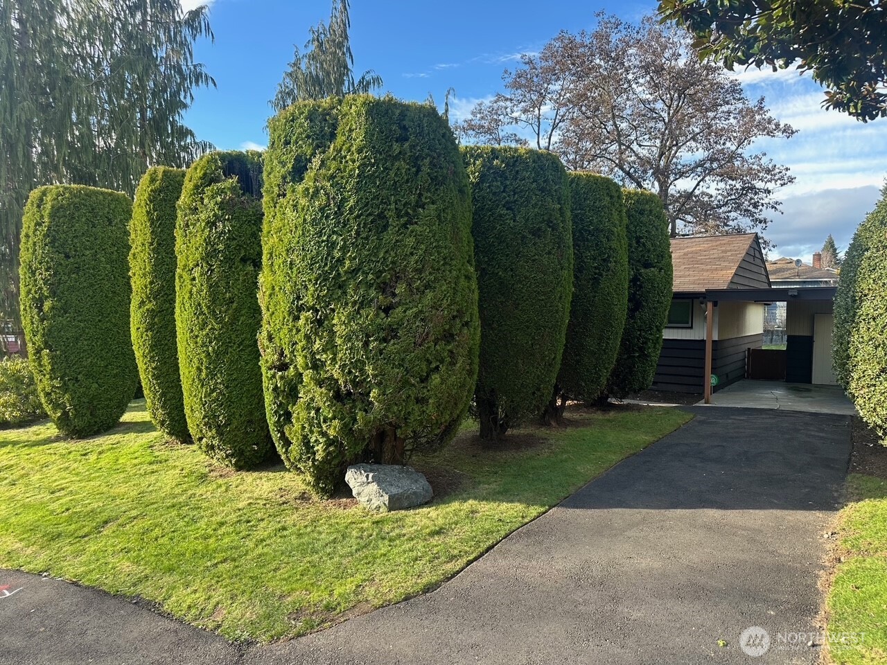 3504 Northeast 135th Street Seattle, WA 98125 - Photo 24 of 35 a view of a garden