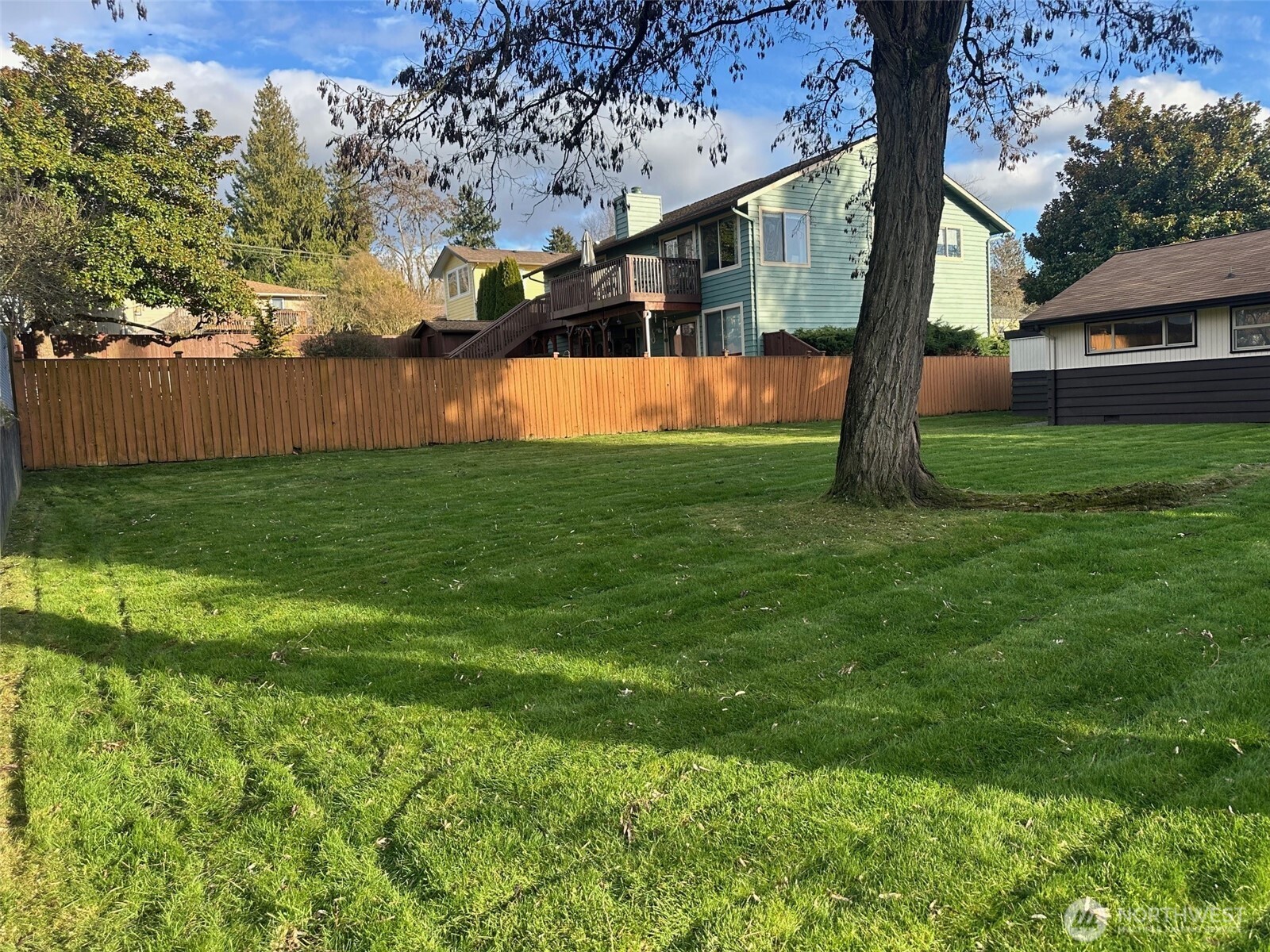 3504 Northeast 135th Street Seattle, WA 98125 - Photo 35 of 35 a view of a yard with plants and a large tree