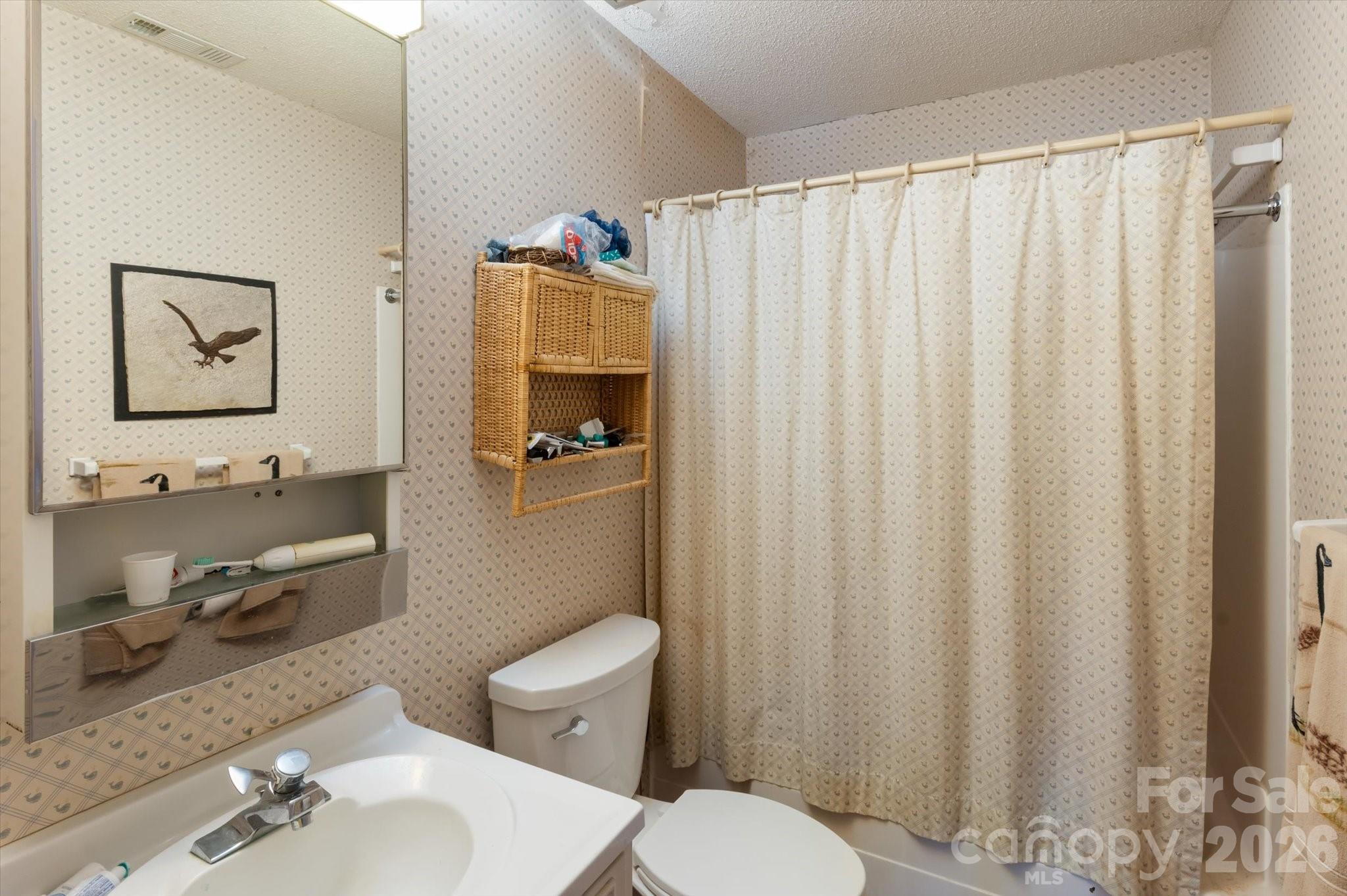 1881 Brookside Camp Road Hendersonville, NC 28792 - Photo 22 of 48 a bathroom with a sink and a mirror