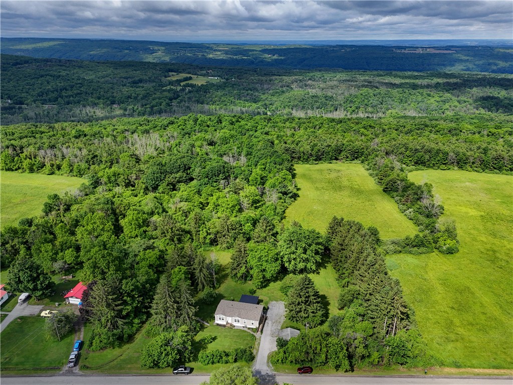 5420 Middle Road North Canadice, NY 14466 - Photo 13 of 47