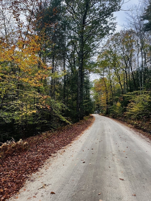 408 39-1 Bullock Road Richmond, NH 03470 - Photo 3 of 7 a backyard of a house with lots of green space