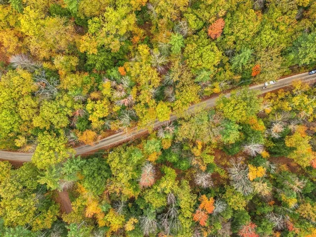 a backyard of a house with lots of plants