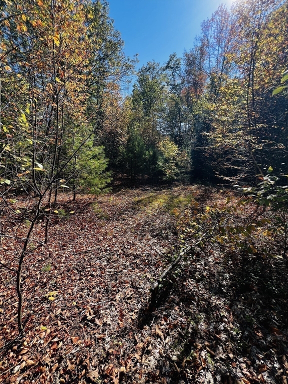 408 39-1 Bullock Road Richmond, NH 03470 - Photo 5 of 7 a view of a yard with plants and large trees