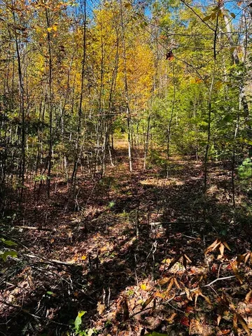 $225,000 | 408 39-1 Bullock Road, Richmond, NH 03470