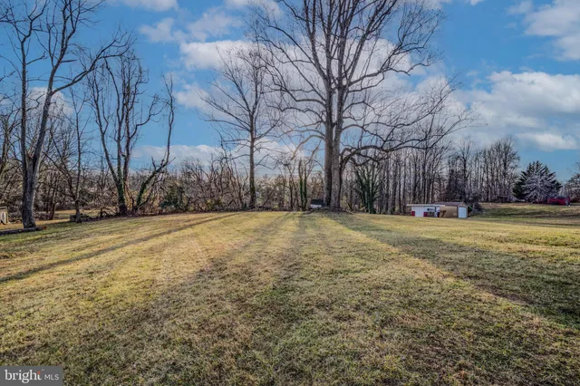 a view of yard with trees
