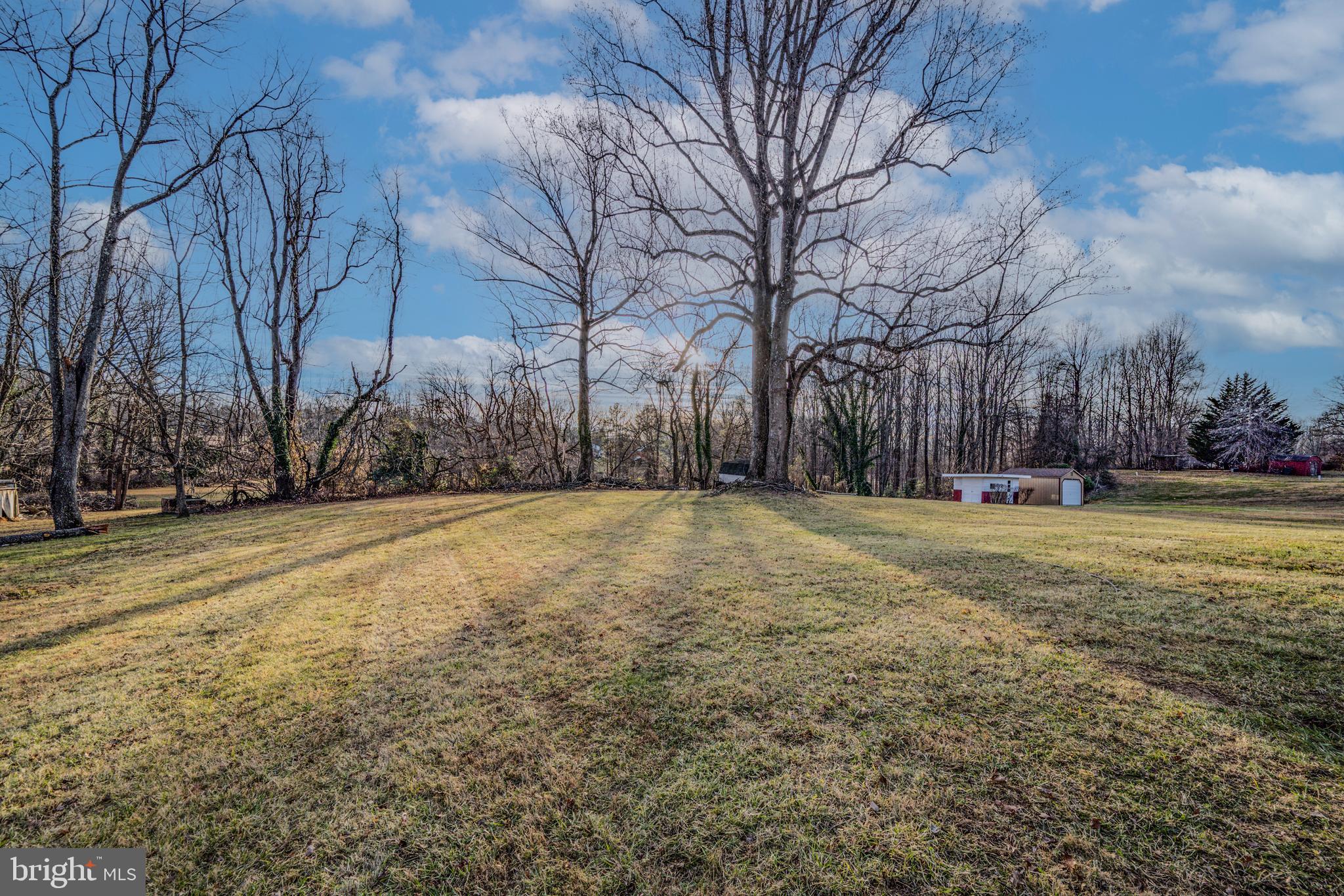 8711 Windsor Mill Road Windsor Mill, MD 21244 - Photo 28 of 35 a view of yard with trees