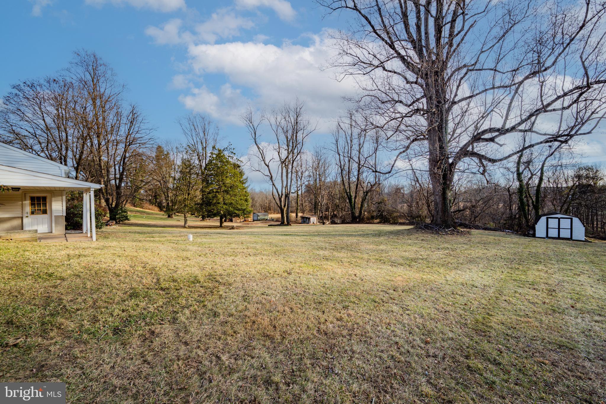8711 Windsor Mill Road Windsor Mill, MD 21244 - Photo 32 of 36 a view of outdoor space yard and tree
