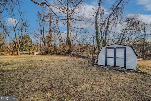a view of backyard with wooden fence and large trees