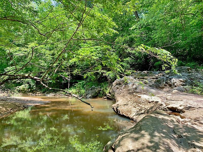 1811 Bowen Road Pinnacle, NC 27043 - Photo 11 of 17