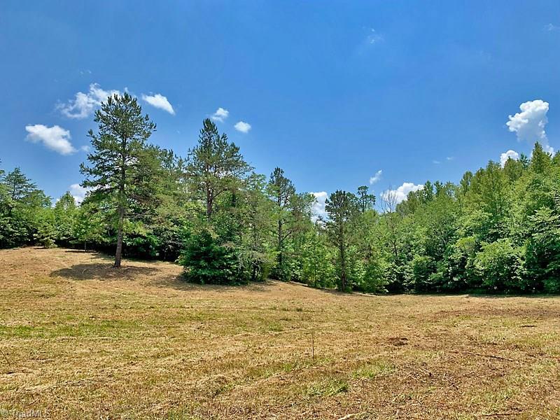 1811 Bowen Road Pinnacle, NC 27043 - Photo 5 of 17