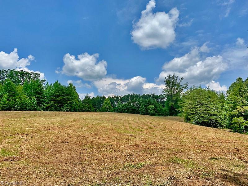 1811 Bowen Road Pinnacle, NC 27043 - Photo 6 of 17