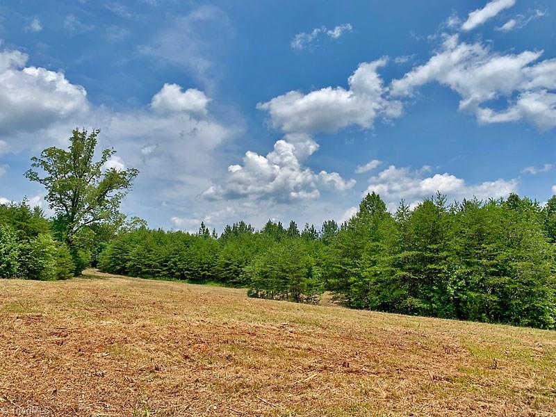 1811 Bowen Road Pinnacle, NC 27043 - Photo 9 of 17