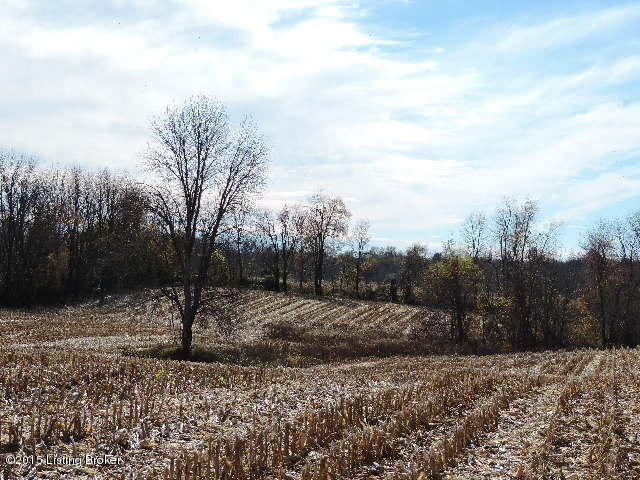3098 Sulphur Road Sulphur, KY 40070 - Photo 15 of 48 3098 Sulphur Road 140