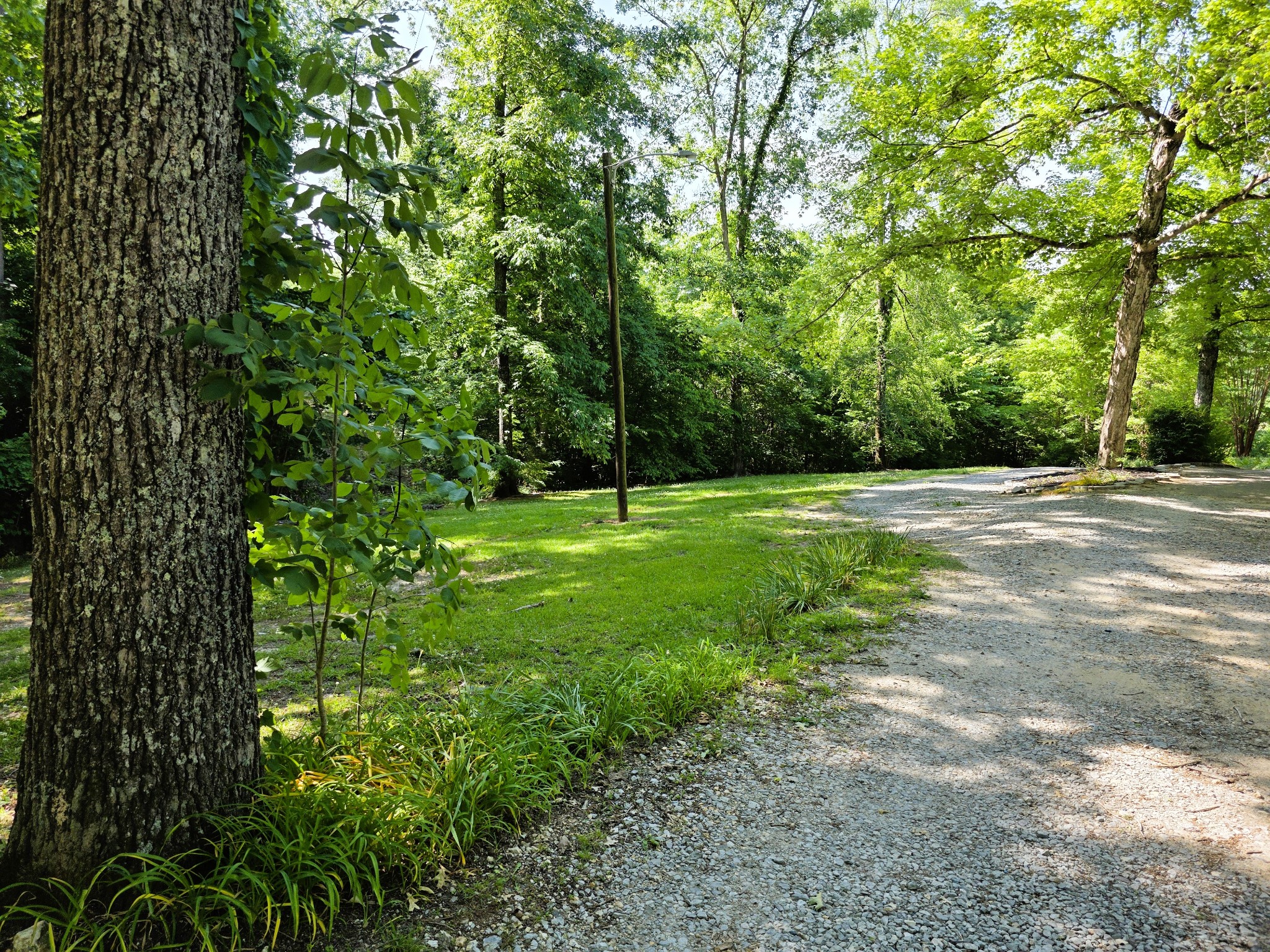 1975 Kelly Road Holladay, TN 38341 - Photo 84 of 95