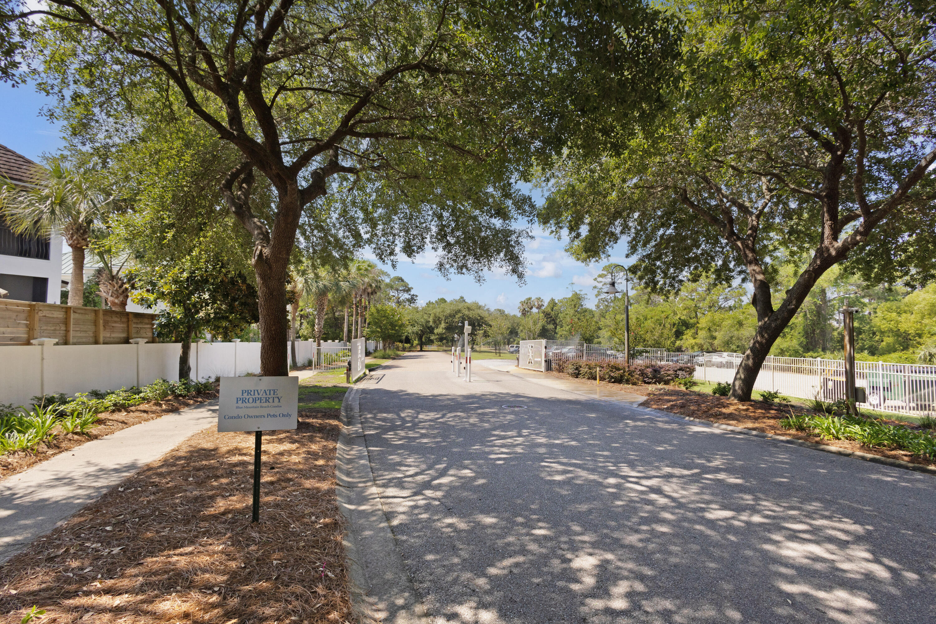 164 Blue Lupine Way, Unit 102 Santa Rosa Beach, FL 32459 - Photo 40 of 49 Landscape Enterance