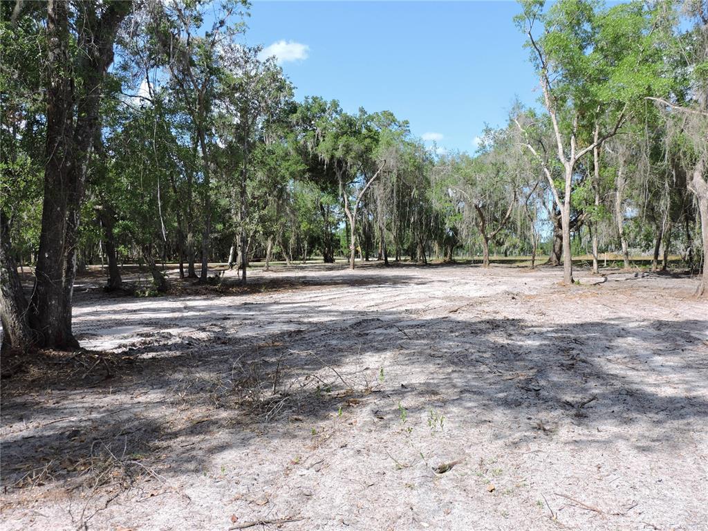 309 County Rd Crescent Georgetown, FL 32139 - Photo 1 of 9