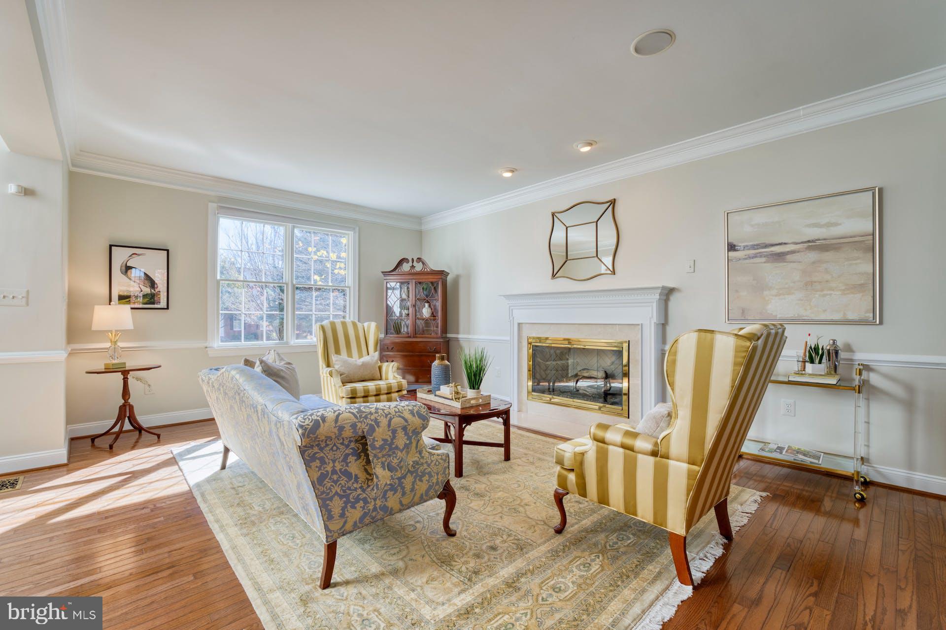 19861 Bethpage Court Ashburn, VA 20147 - Photo 20 of 72 Gas FPL in Liv. Room