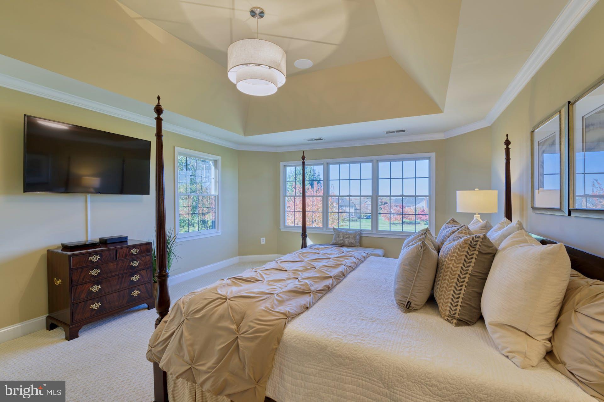 19861 Bethpage Court Ashburn, VA 20147 - Photo 43 of 72 Coffered Ceiling