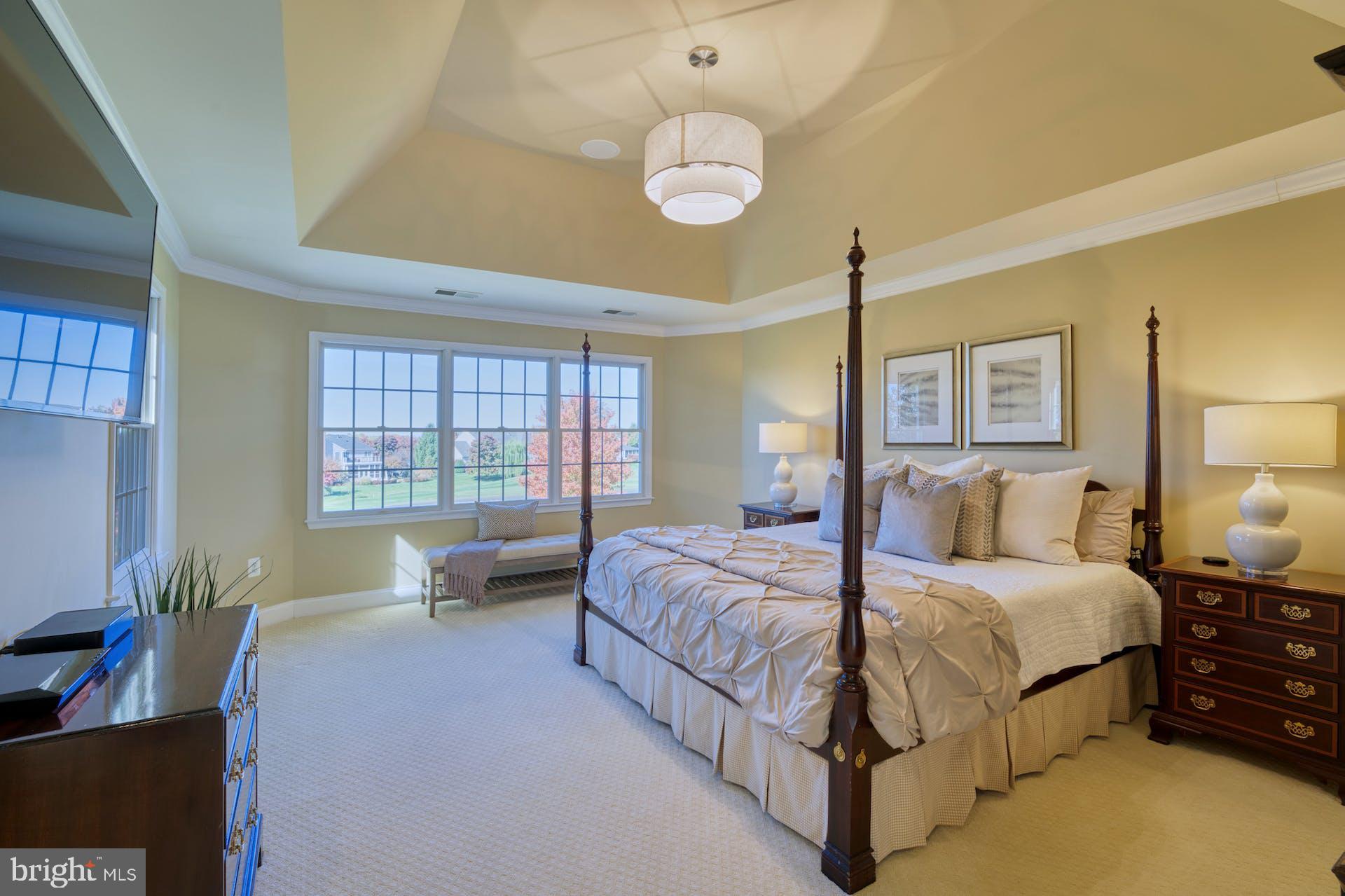 19861 Bethpage Court Ashburn, VA 20147 - Photo 44 of 72 Triple Window