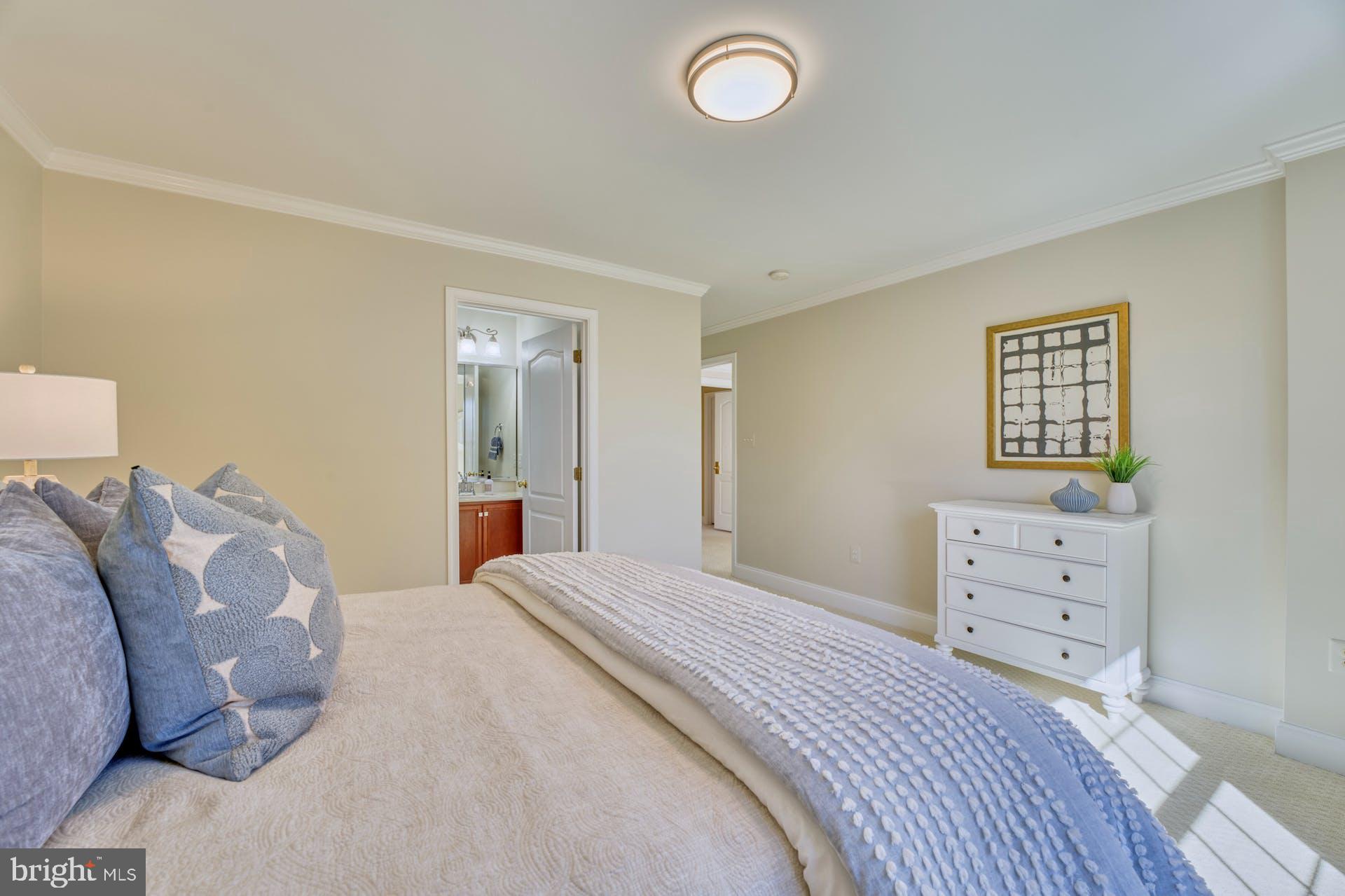 19861 Bethpage Court Ashburn, VA 20147 - Photo 49 of 72 Bedroom #2