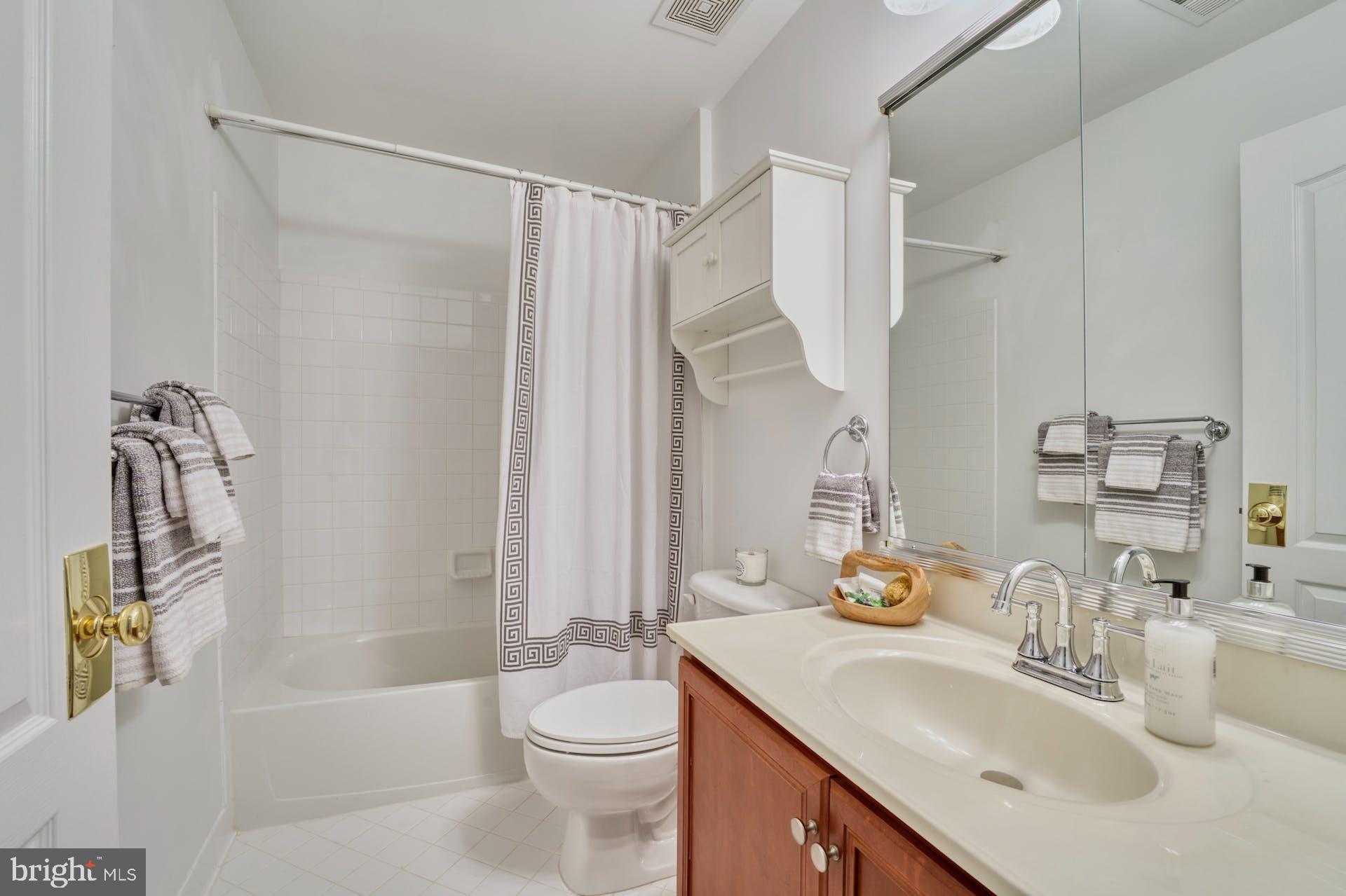 19861 Bethpage Court Ashburn, VA 20147 - Photo 54 of 72 Hall B ath