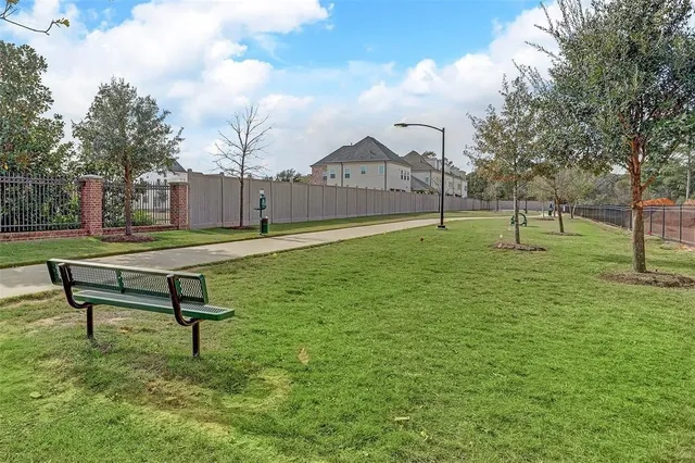 a view of a park with large trees