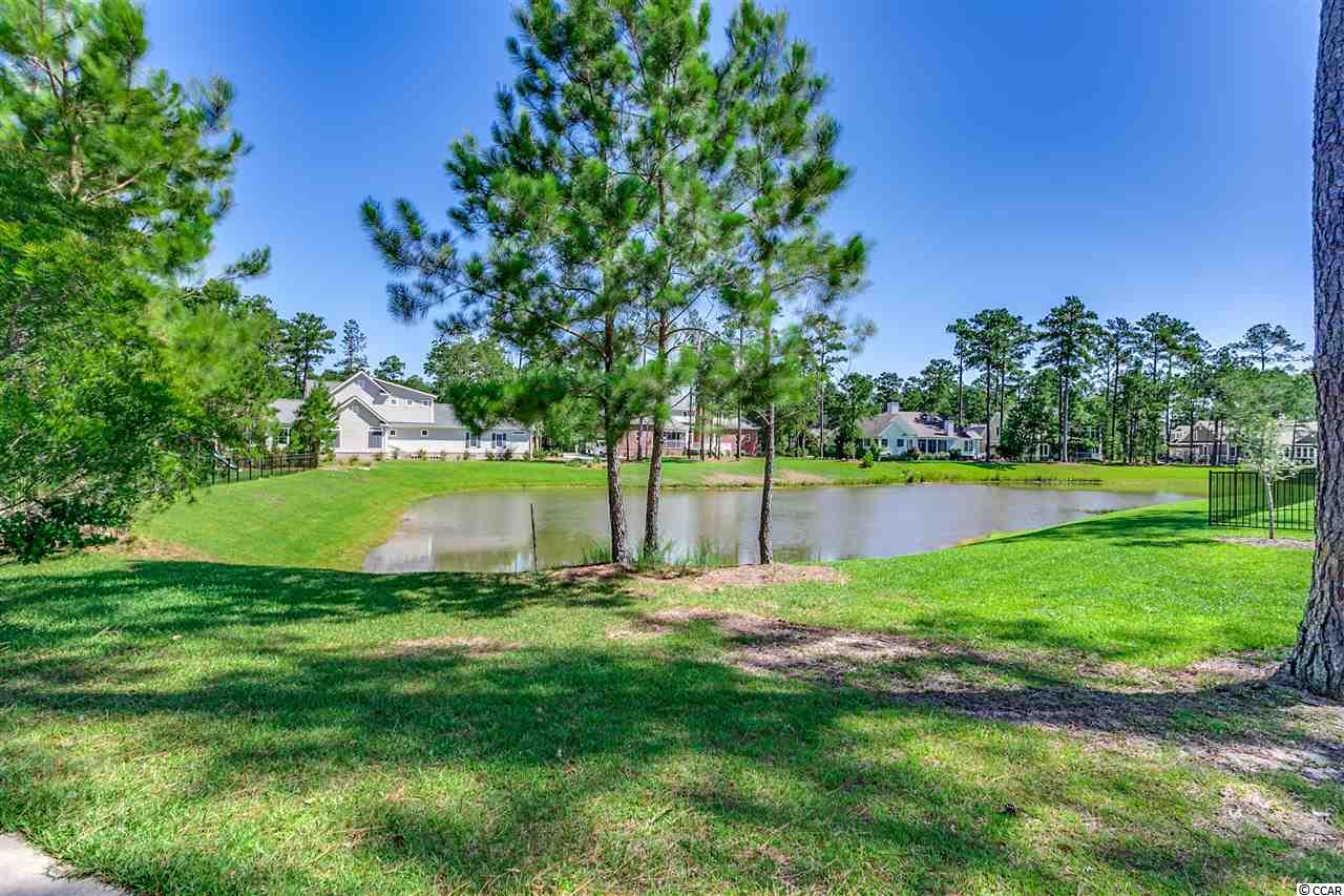 506 Woody Point Murrells Inlet, SC 29576 - Photo 32 of 40 Gallery Image 32