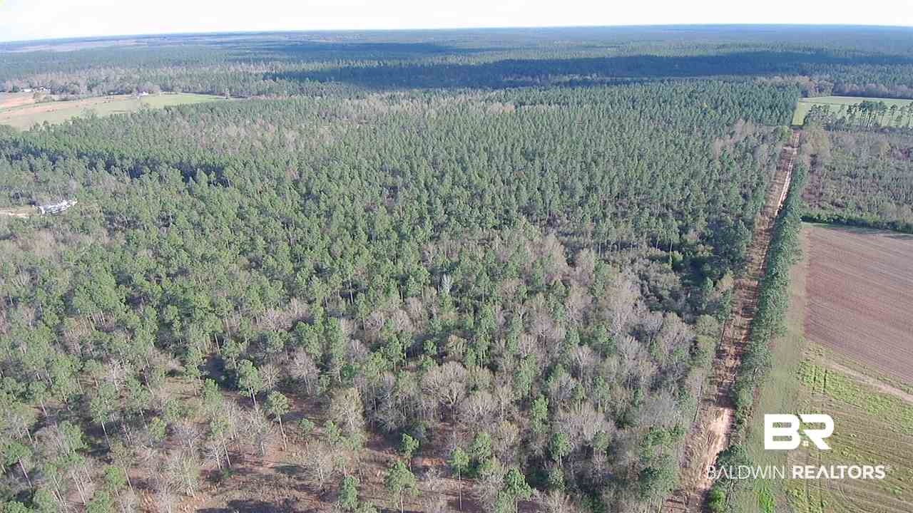 3 Red Cloud Road Baker, FL 32531 - Photo 7 of 14