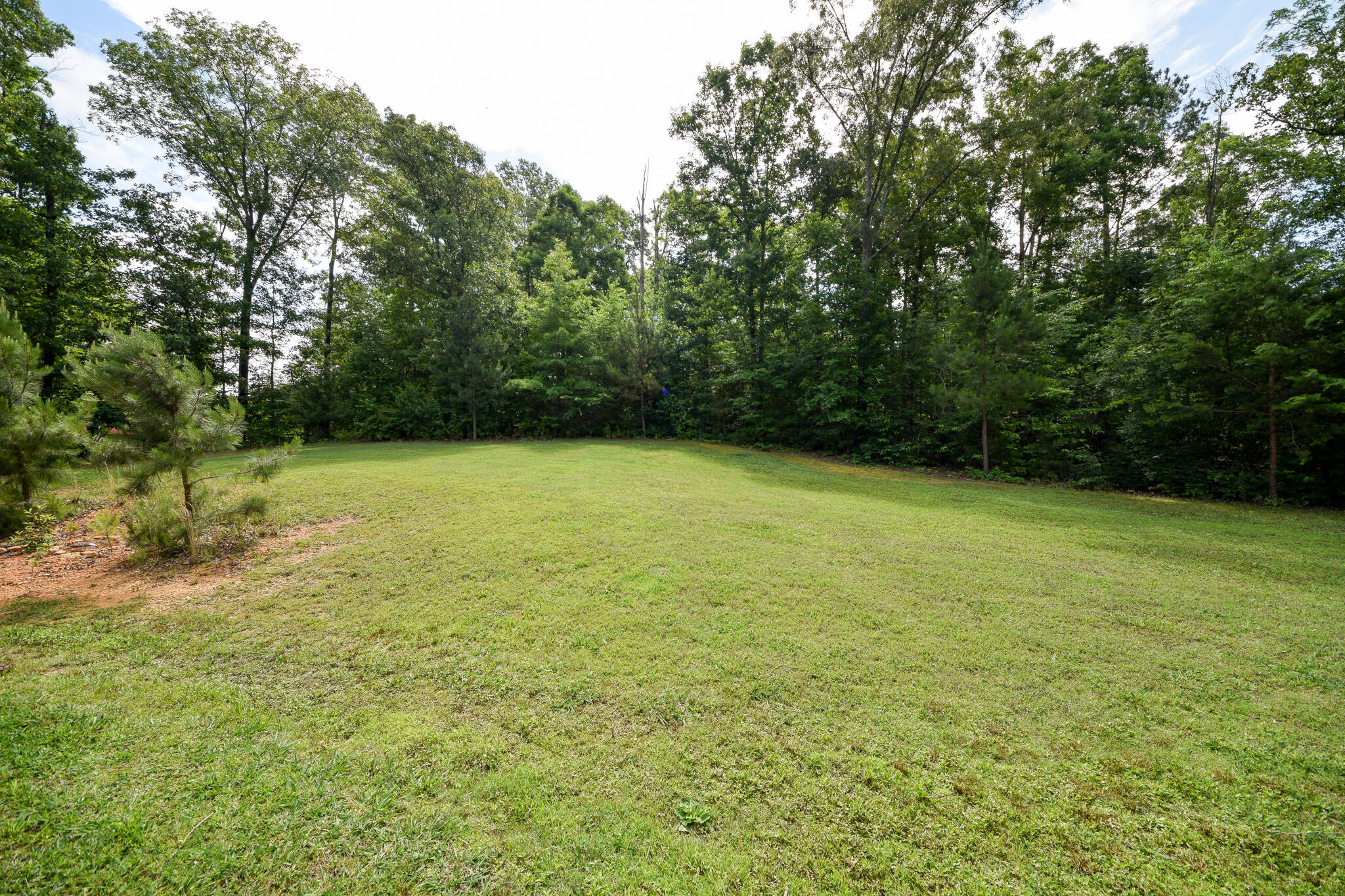 295 Brock Road Northeast Cleveland, TN 37323 - Photo 48 of 58 DSC_9701